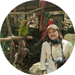 jamesslaven.com profile
          image